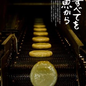 【NEWS大地を守る12月号】すべてを魚から
