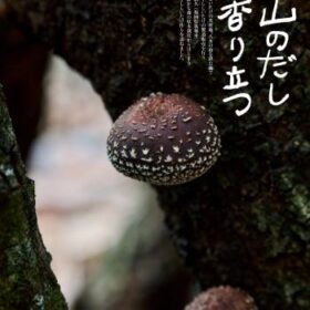 【NEWS大地を守る2月号】山のだし香り立つ